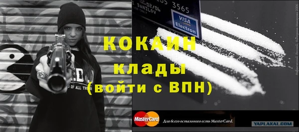 мет Алексин