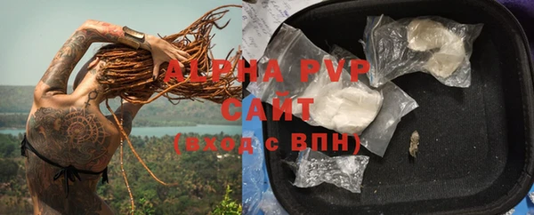 jwh Алзамай
