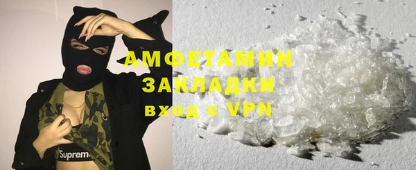 мет Алексин