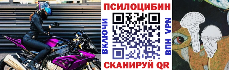 цена   Дзержинск  Галлюциногенные грибы Magic Shrooms 
